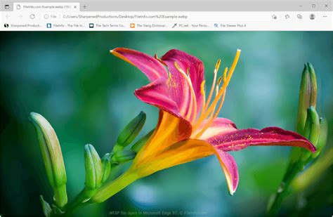 Image result for Open WebP File