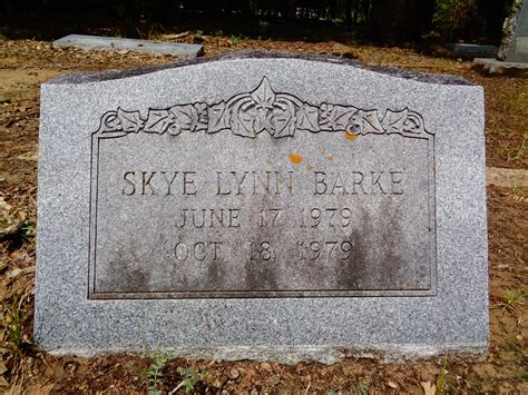 Skye Lynn Barke (1979-1979) - Find a Grave Memorial
