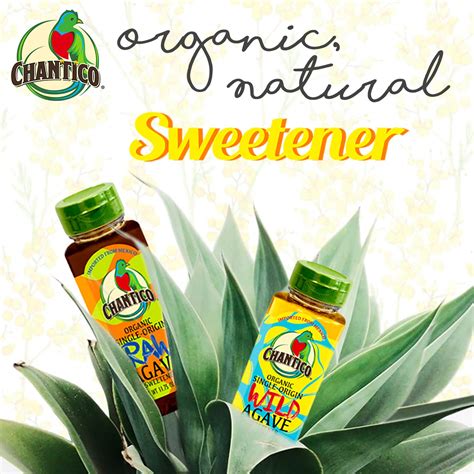 Buy Chantico Agave Sweetener (Variety Pack,1 Bottle of Each Flavor ...