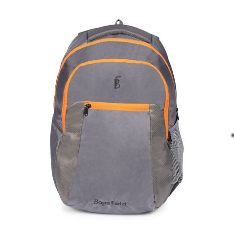 Bags Field Laptop Bag 30 Ltr Ash Freesia : Amazon.in: Computers ...