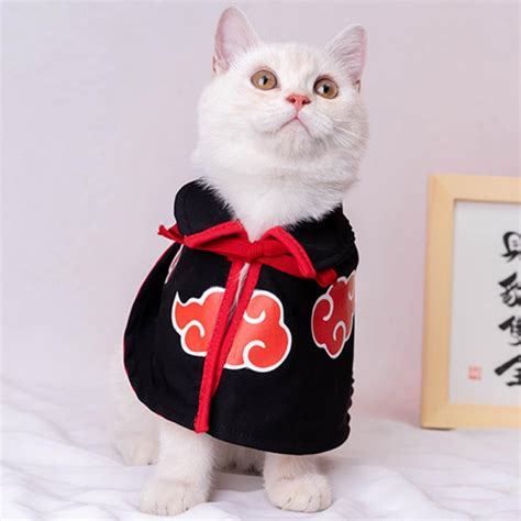 Buy Balems Akatsuki Dog Costume Halloween Cat Clothes Funny Anime ...