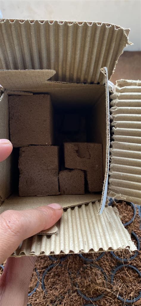 WE Hydroponics Phenolic Foam Oasis Cubes - Box of 40, Soil Less ...