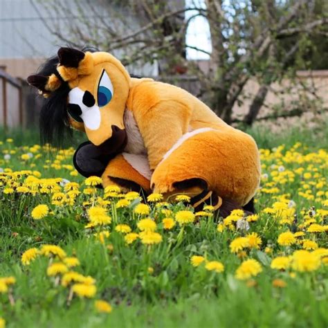 Buy Fursuits Online in 2025 | The Best Fursuit Makers