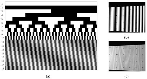 A Polarized Structured Light Method for the 3D Measurement of High ...