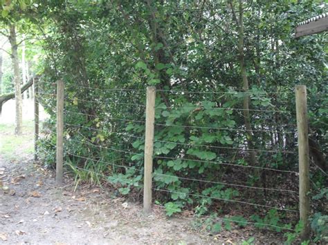 ZooLex Image - Vegetation fencing