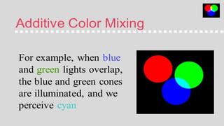 Image result for Computer Graphics and Multimedia