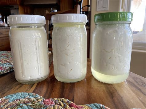 Is Your L. Reuteri Yogurt Separating? - Cultured Food Life