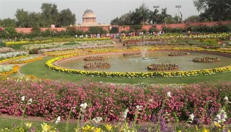 Mughal Garden: A Detailed Guide To Explore This Gem In 2025!