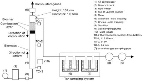 The Effect of Biomass Physical Properties on Top-Lit Updraft ...