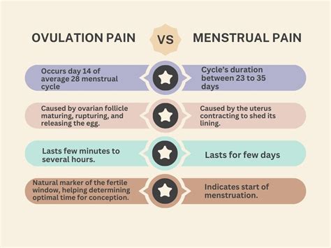 What is Ovulation Pain? - Klarity Health Library