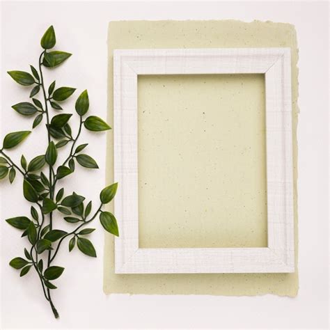 Green artificial leaves near the white wooden frame on paper against ...