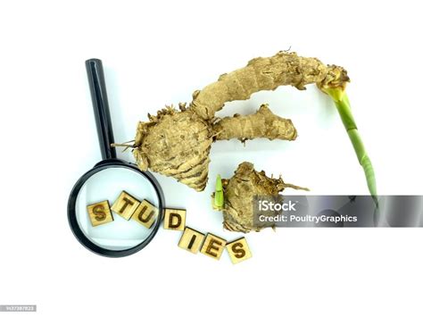 Image result for Curcuma Side Effects