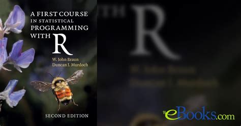 Statistics INR Programming Full-Course 的图像结果