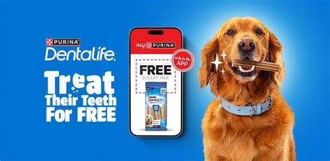 Cat Diarrhea: Causes, Symptoms & Treatment | Purina US