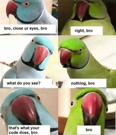 Bro Code Java 的图像结果