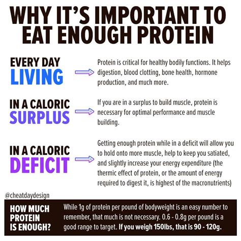 Nutrition & Fitness Simplified | Cheat Day Design Blog - why is important protein