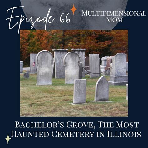 Bachelor's Grove: The Most Haunted Cemetery in Illinois | Listen Notes