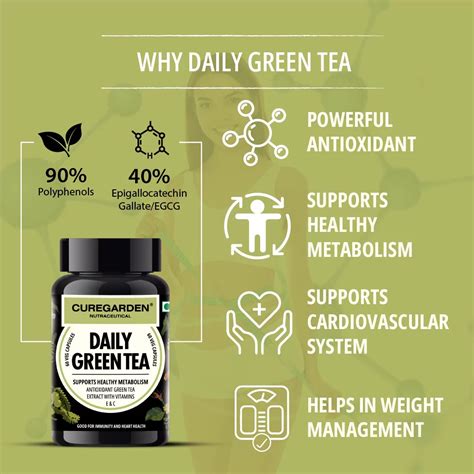 DAILY GREEN TEA