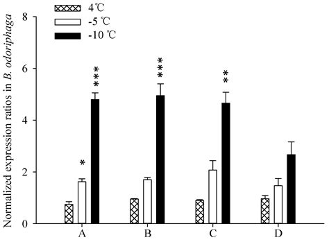 Evaluation of Housekeeping Genes for Quantitative Real-Time PCR ...