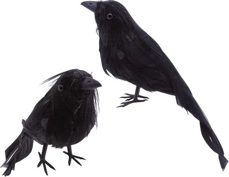 Buy Etistta 6 Pack Halloween Crows Black Feathered, 8 inch Realistic ...