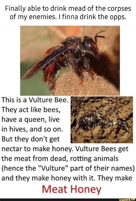 Finally able to drink mead of the corpses of my enemies. I finna drink ...