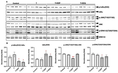 Differential Effects of 17,18-EEQ and 19,20-EDP Combined with Soluble ...