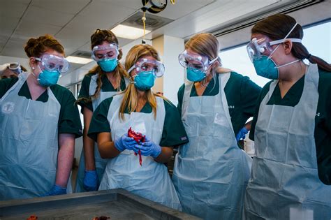 What Do Medical Examiners Do At A Crime Scene at George Ashcraft blog