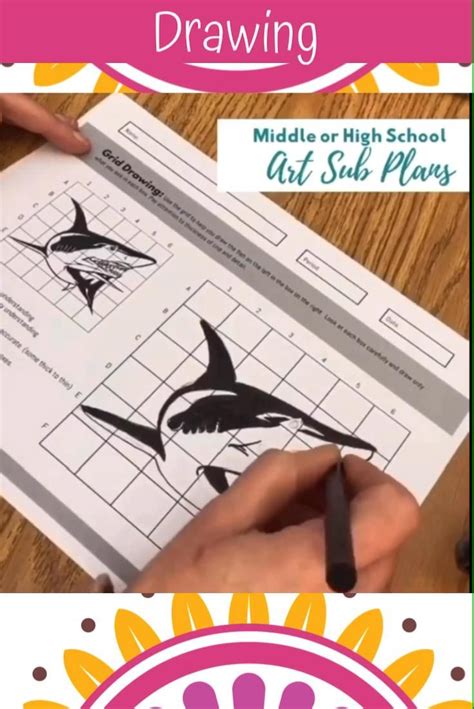 Image result for Contour Line Drawing Lesson