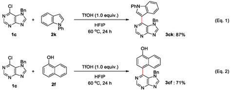 Nucleophilic Arylation of Halopurines Facilitated by Brønsted Acid in ...