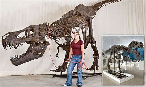 Actual Size Of T Rex at Joyce Haynes blog