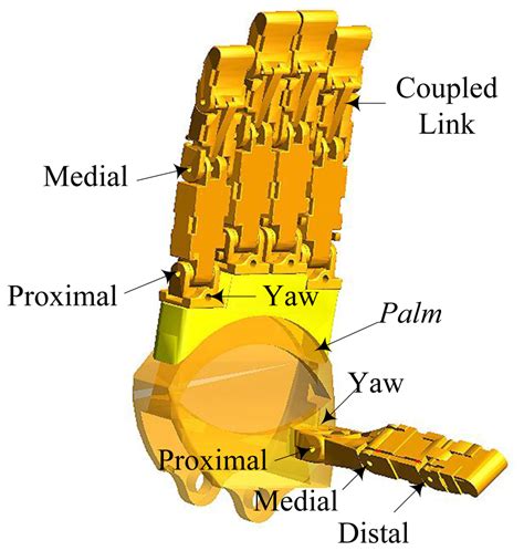 The Control of Tendon-Driven Dexterous Hands with Joint Simulation