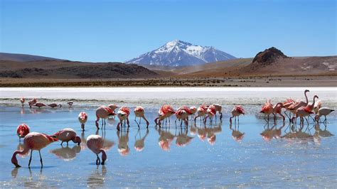 Interesting facts about Salar de Uyuni