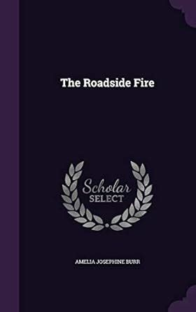 Buy The Roadside Fire Book Online at Low Prices in India | The Roadside ...