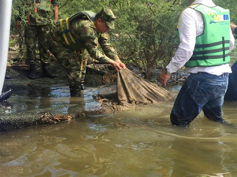 Destruyen jaulones ilegales en la represa de Betania - TSM Noticias