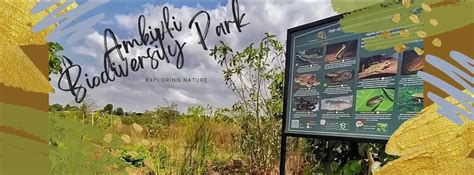 Ladybird Environmental Consulting LLP - Habitat Restoration ...