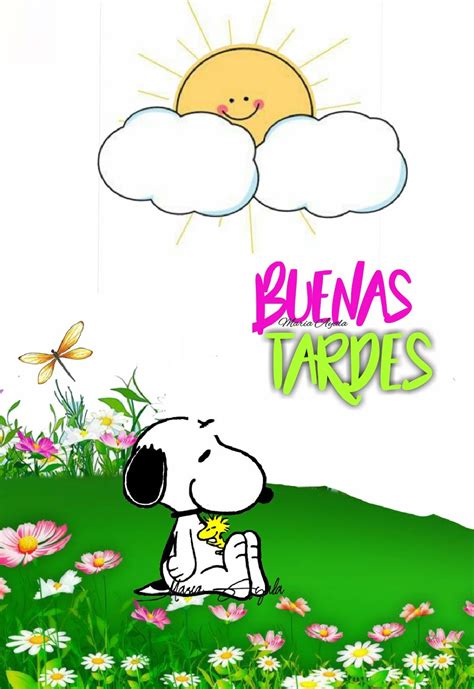8 ideas de Snoopy buenas tardes | buenos dias con snoopy, buenas tardes ...