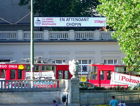 What Does The Colours Mean On Shag Bands