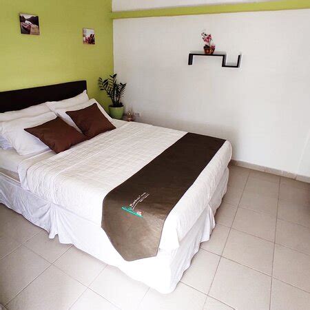 HOTEL BAMBUDA (Punto Fijo) - Hotel Reviews & Photos - Tripadvisor