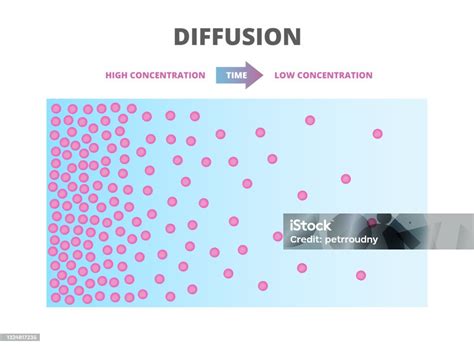 Diffusion 的图像结果