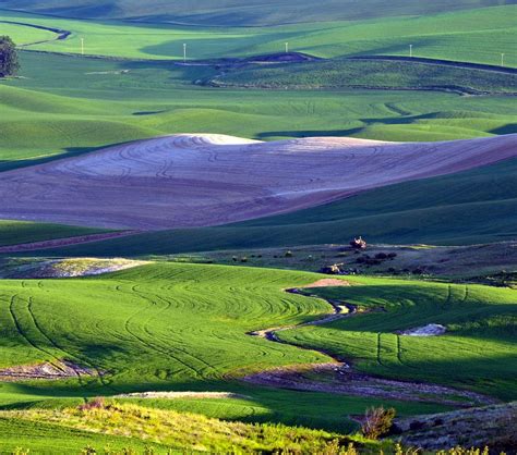 STEPTOE BUTTE STATE PARK - All You Need to Know BEFORE You Go (with ...