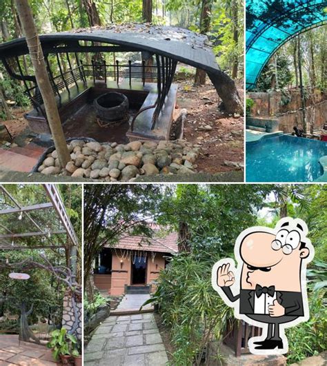 HANG10 RAINFOREST CAFE, Kottayam - Restaurant reviews