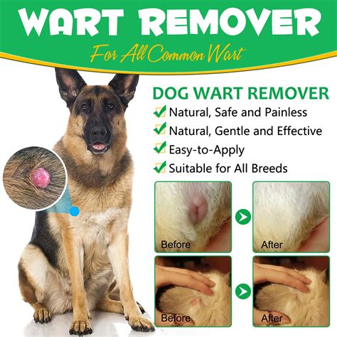Safe & Painless Verrugas Perros Treatment - Pet Wart Removal Cream