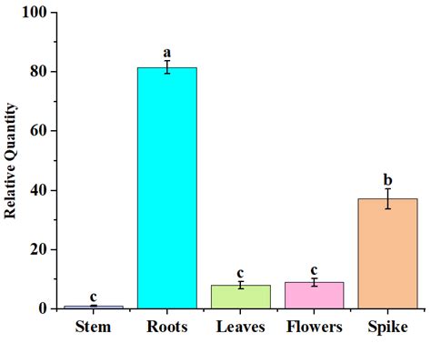 Cloning and Functional Analysis of ZFP5 from Amorpha fruticosa for ...