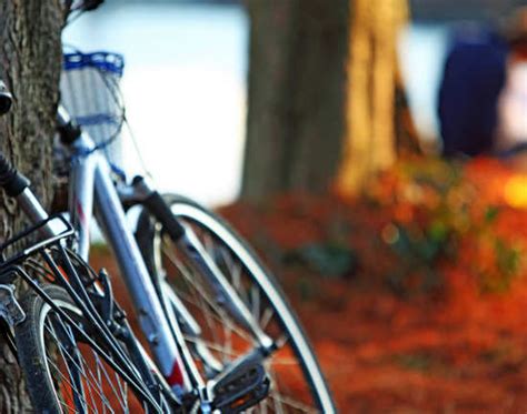 Most Bicycle Friendly Cities In The World | Places To Explore For ...