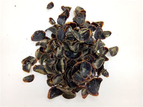 Modern science tackles a biblical secret – the mystery ingredient in ...