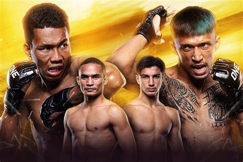 One Lege 的图像结果