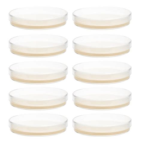 Buy balacoo 10pcs Potato Dextrose Agar Plates Prepoured Potato Dextrose ...