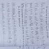 Heart of the tree workbook questionsHe plants cool shade and tender ...