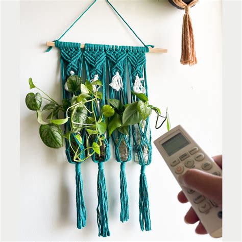 Story of Knots Green Macrame Wall Hanging Planter – Kreate