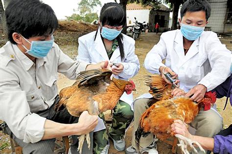 2020年10月第一周禽病流行态势与防治分享 - 疫情通报 - 鸡鸭鹅病防治网